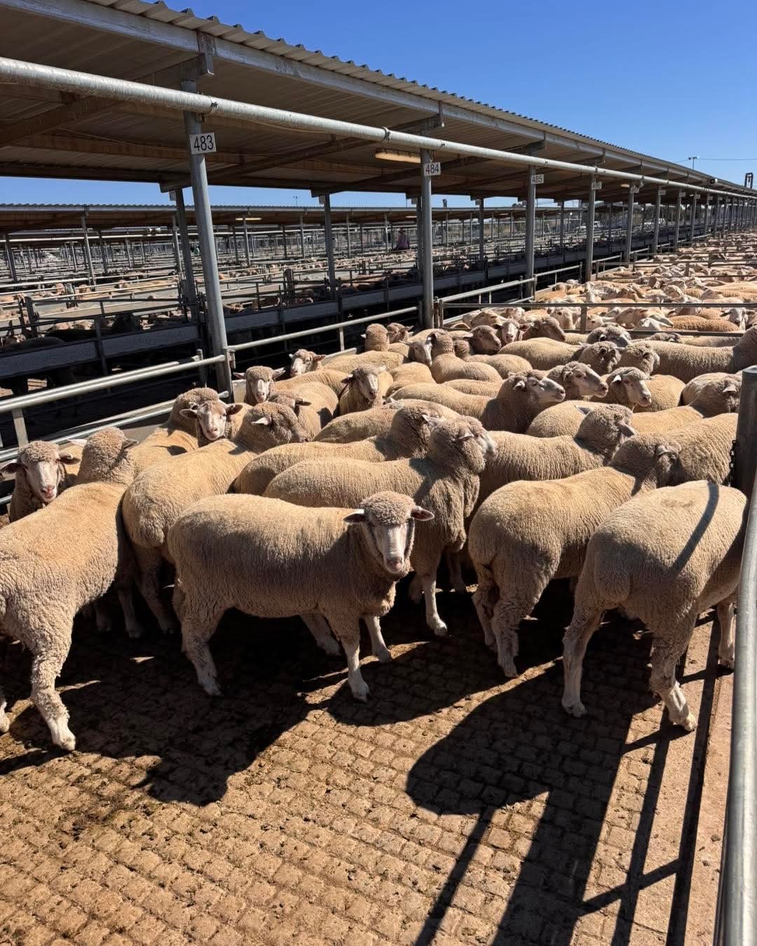 Livestock Supply